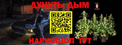 индика Шебекино